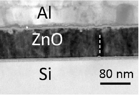 Figure  2.5  A  representative  TEM  image  that  verifies  the  region  of  EDX  measurement along the line  