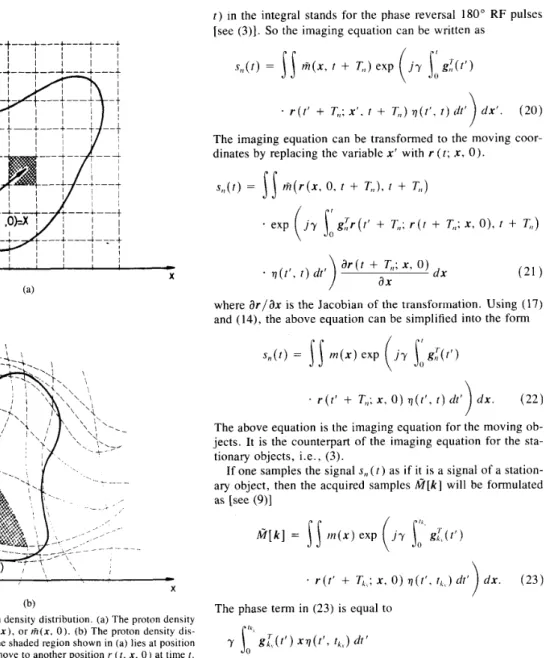 Fig.  1.  A  time-varying  proton density  distribution.  (a) The proton density  distribution  at  time  r  =  0,  m ( x ) ,   or  A ( x ,   0 ) 