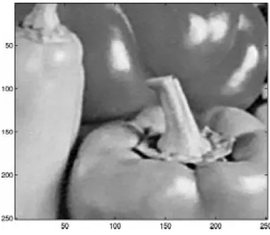 Fig. 6. Restored peppers image ( PSNR = 30:90 dB).
