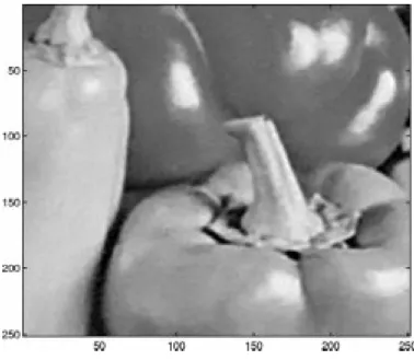 Fig. 6. Restored peppers image ( PSNR = 30:90 dB).