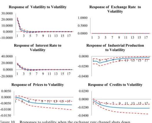 Figure 10. Responses to volatility when the exchange rate channel shuts down.