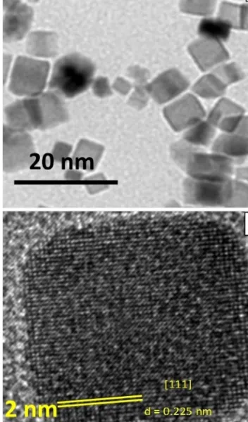 Fig. 2 shows the representative TEM and HR-TEM images of the Pd NC with an average size of ~ 13 nm (Figure S1)