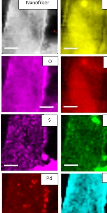 Figure 8. HAADF-STEM-EDX mapping images for the Pd@MPTMS@ZnO@- Pd@MPTMS@ZnO@-PAN-NF (scale bar: 200 nm).
