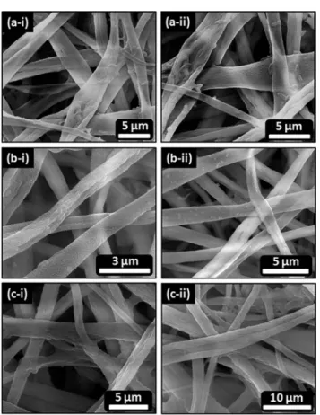 Fig. 8 Representative SEM micrographs of the (a-i and a-ii) A. eucrenophila, (b-i and b-ii) C