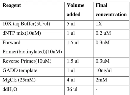 Table 3.10.1  PCR Program for GADD Template 