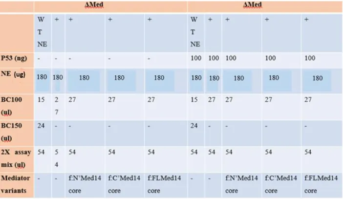 Table 3.10.3 Outline of Immobilized Template Recruitment Assay  