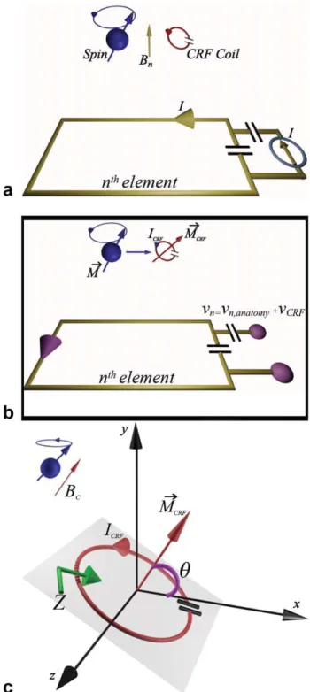 FIG. 1. Sketch of the nth element of the phased array coil, CRF coil, and spin interactions