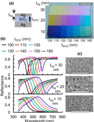Fig. 2. Surface colors, cross section illustrations, and reflection spec- spec-tra for (a) optical cavities consisting of 10 nm Ag (top) forming  nano-particles, 120 and 130 nm SiO 2 dielectric (middle), and optically thick Ag mirror (bottom) and (b) the s