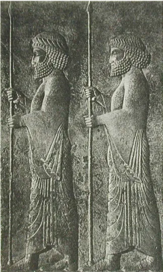 Fig. 7. Apadana, Achaemenian royal guardsmen, detail (Nylander, 1970: 135) 