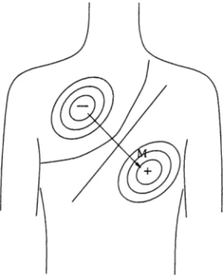 Figure  2.3:  A  sketch  of the  dipole  field  of the  heart