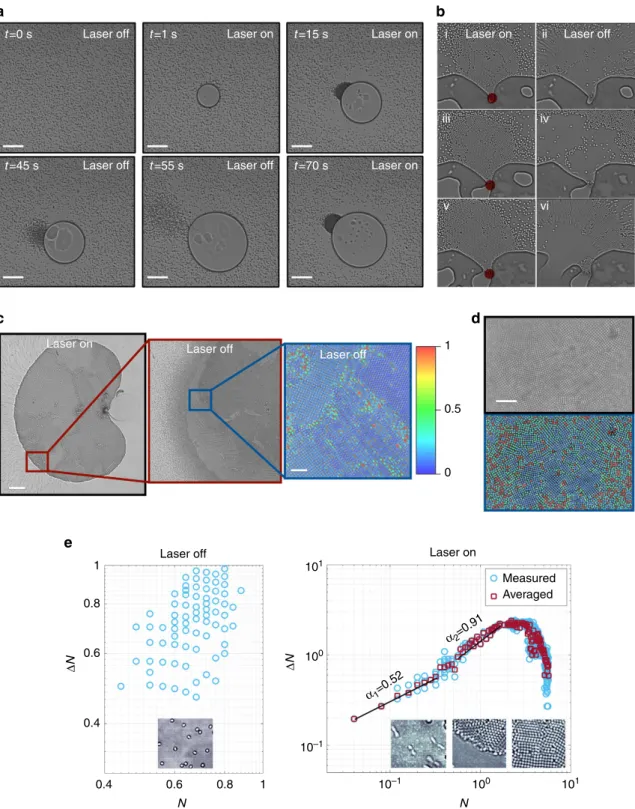 Figure 2 | Form–break–reform at far-from-equilibrium conditions. Time-lapse images showing (a) that an aggregate can form–break–reform upon turning on and off the laser