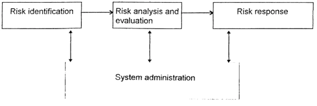 Figure  1.  Risk management framework