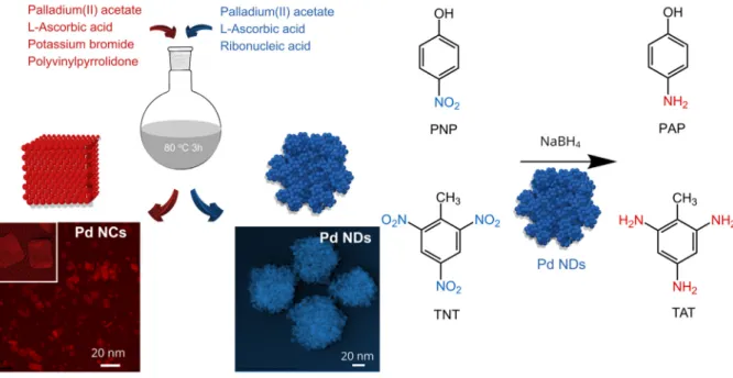 Fig. 1. Cartoon illustration of the Pd nanoparticles with cuboid and dendritic morphology and their use for the reduction of nitroarenes