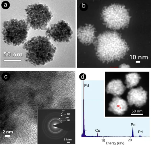 Fig. 3. (a) TEM and (b) STEM images of the Pd nanodendrites synthesized in the presence of RNA