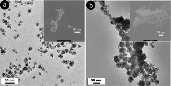 Fig. 7. TEM images of the Pd nanodendrites synthesized at two different RNA concentrations