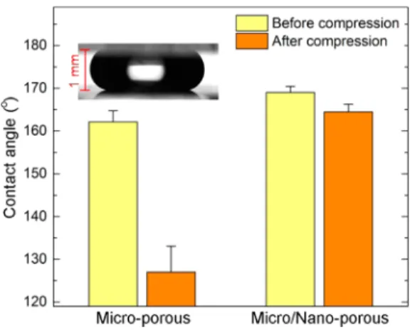 Figure 6a shows time-dependent evaluation of the shape of water droplets on the MC and MNC