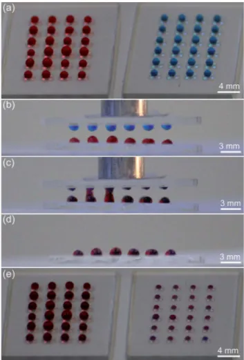 Fig. 6 High-throughput mixing of individual droplets on the patterned ormosil surfaces