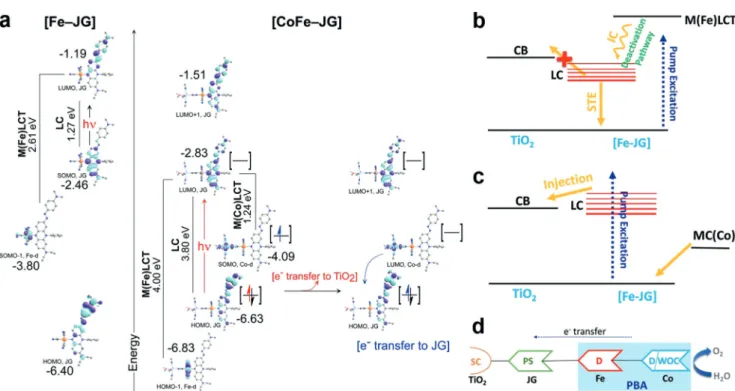 Figure 4. Molecular orbitals and electronic states. a) Critical Kohn–Sham orbitals for [Fe–JG] and [CoFe–JG] systems, (SOMO=singly occupied molecular orbital)