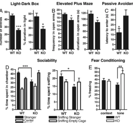 Fig. 2. Lynx2 ⫺/⫺ mice have elevated fear and anxiety-like behavior. (A) In light-dark box test, Lynx2 ⫺/⫺ mice spent less time in light compartment (P ⬍ 0.01) and made less number of transitions to the light than WT mice (P ⬍ 0.0001), showing elevated anx