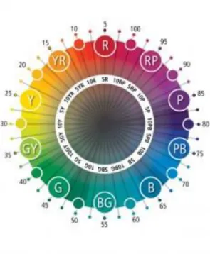 Figure 17. Munsell Hue Designation Circle 