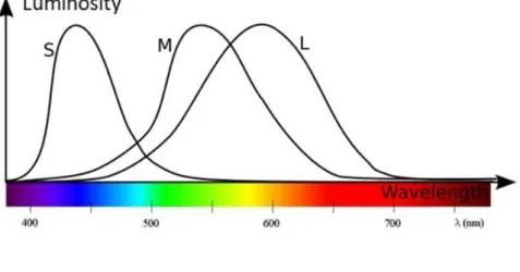 Figure 32. Wavelengths of red, blue and green (in nm)  ( http://www.science4all.org/article/colors/)  
