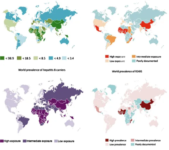 Figure 1.2.1 Distribution of HCC incidences, aflatoxin exposure, Hepatitis B virus infection rate  and  occurrence of R249S mutation according to geographical area [31]