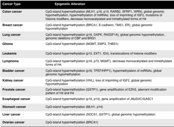 Table  1.2.4.1  DNA  methylation  alterations  observed  in  some  human  cancer  types