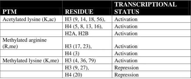 Table 1.4: The regulatory roles of several histone marks. (Adopted from [218]) 