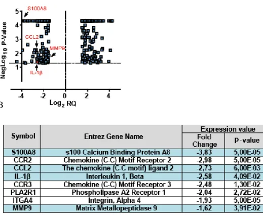 Figure  3.1.  IRE1  RNase  activity  regulates  the  expression  of  multiple  pro- pro-atherogenic genes in BMDM cells