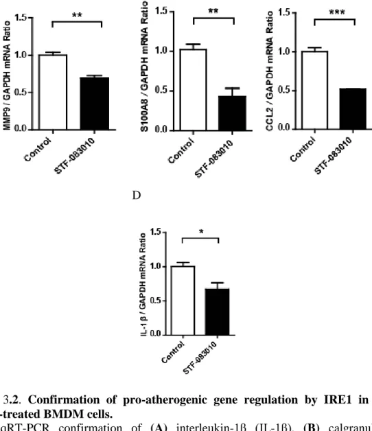 Figure  3.2.  Confirmation  of  pro-atherogenic  gene  regulation  by  IRE1  in  STF- STF-083010-treated BMDM cells