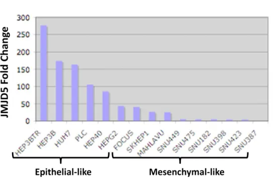 Figure 4.4: Fold change of JMJD5 expression in HCC cell lines  