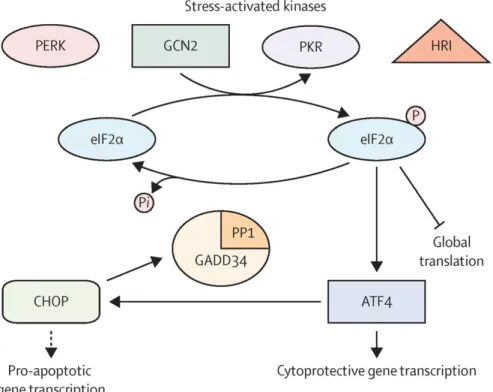 Figure 1.2 Schematic Representation of ISR  