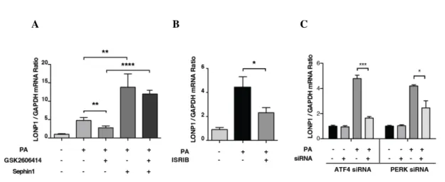 Figure 3.10. Mitochondrial LONP1 is regulated by ISR in lipid-stressed macrophages. 