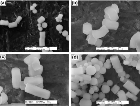 Figure 11. The SEM images of the particles synthesized using the CTAB-P123-benzene system for the CTAB/P123 mol ratio of 3.0 and the benzene concentration of (a) 0.0, (b) 1.1 × 10 -3 , (c) 2.3 × 10 -3 , and (d) 3.4 × 10 -3 M.