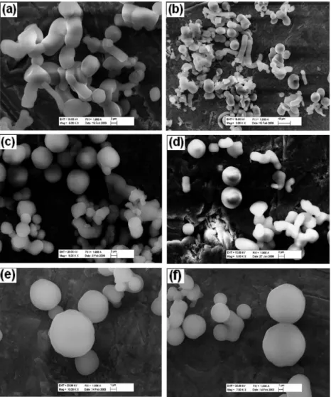 TABLE 1: The Structural Parameters of the Mesoporous Silica Particles, Obtained from the CTAB-P123-SO 4 2- System with Different CTAB/P123 Mol Ratios and SO 4 2- Concentrations
