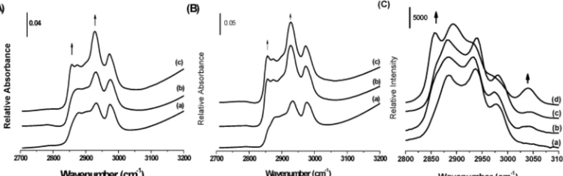 Figure 7. The FTIR spectra of the mesostructured silica particles obtained from the CTAB-P123-NO 3