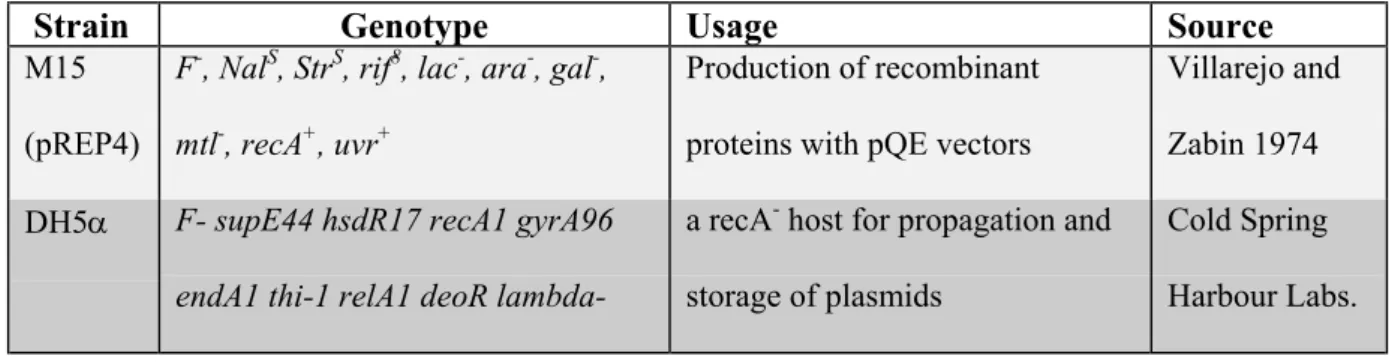 Table 4.1: List of the E.coli strains used during the course of this study