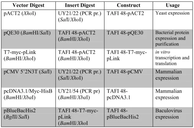 Table 4.3: List of the constructs prepared during the course of this study