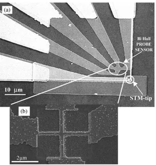 Fig. 3. A 25 mm  25 mm image of a 5.5 mm thick crystalline Bi- Bi-substituted iron garnet thin ﬁlm measured using the GaAs/