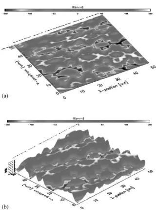 Fig. 4. (a) A 50 mm  50 mm image of a 360 mm thick bismuth- bismuth-substituted iron garnet thin ﬁlm measured using the GaAs/