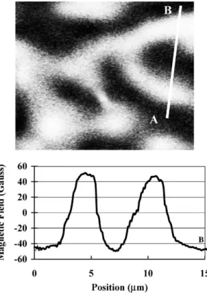 Fig. 7. A 25 mm  25 mm Bi-HP image of the domain structure observed on the surface of a demagnetized strontium ferrite permanent magnet