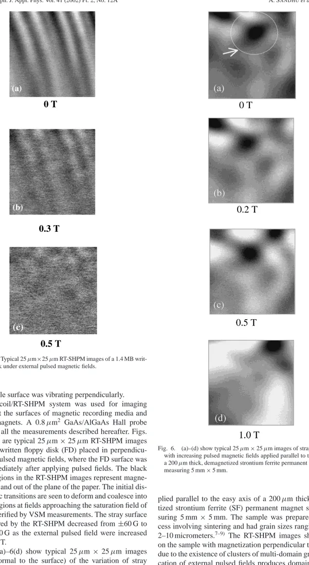 Fig. 5. (a)–(c) Typical 25 µm×25 µm RT-SHPM images of a 1.4 MB writ- writ-ten floppy disk under external pulsed magnetic fields.