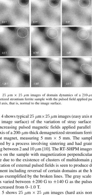 Fig. 5. 25 m 2 25 m images of domain dynamics of a 210-m–thick demagnetized strontium ferrite sample with the pulsed field applied parallel to the hard axis, that is, normal to the image surface.