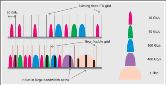 Figure 1.2: Flexible grid versus fixed grid (for a given modulation format) [4]