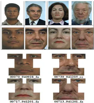 Fig. 6 shows the normalized faces and extracted in- in-dividual feature components for two Asians and two opposite sex Caucasians.