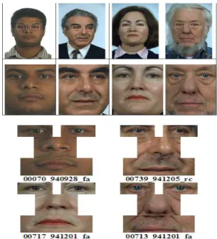 Fig. 6 shows the normalized faces and extracted in- in-dividual feature components for two Asians and two opposite sex Caucasians.