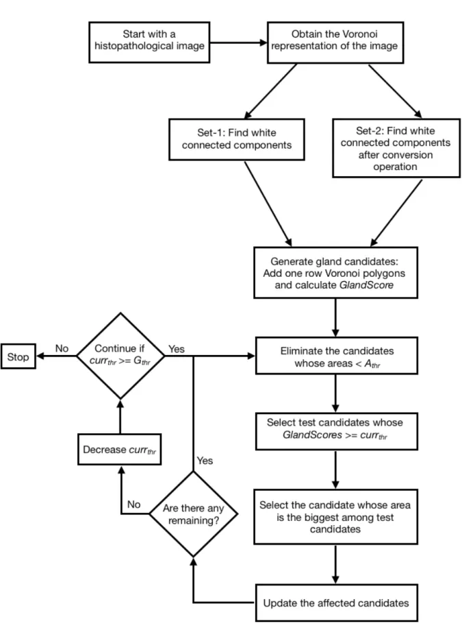 Figure 3.1: Steps of our algorithm.
