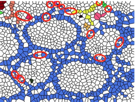 Figure 3.4: This representation shows the connected components which are gen- gen-erated from nuclear Voronoi polygons, for the given image