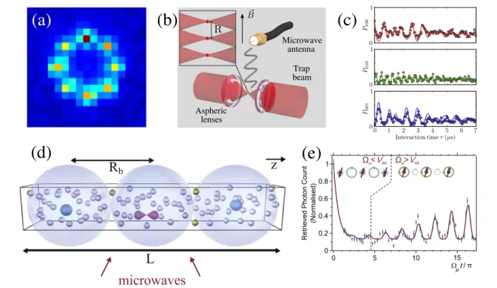Figure 5. Recent experimental progress towards Rydberg aggregates. (a) Fluorescence image of trapped ground-state atoms in a ring arrangement, diverse 2D geometries are feasible (from [28])
