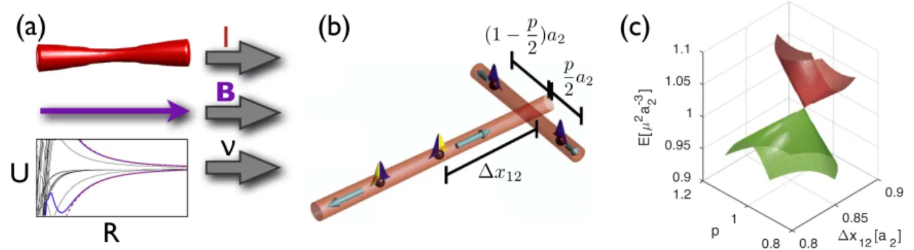 Figure 6. Tailoring Rydberg aggregate Born–Oppenheimer surfaces. (a) Atomic dynamics depends strongly on principal Rydberg quantum number ν, chosen distance scale R, external ﬁeld (e.g